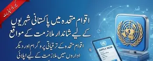 United Nations Jobs for Pakistanis - Guide